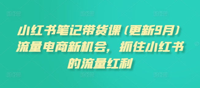 小红书笔记带货课(更新25年12月)流量电商新机会,抓住小红书的流量红利-站长V课