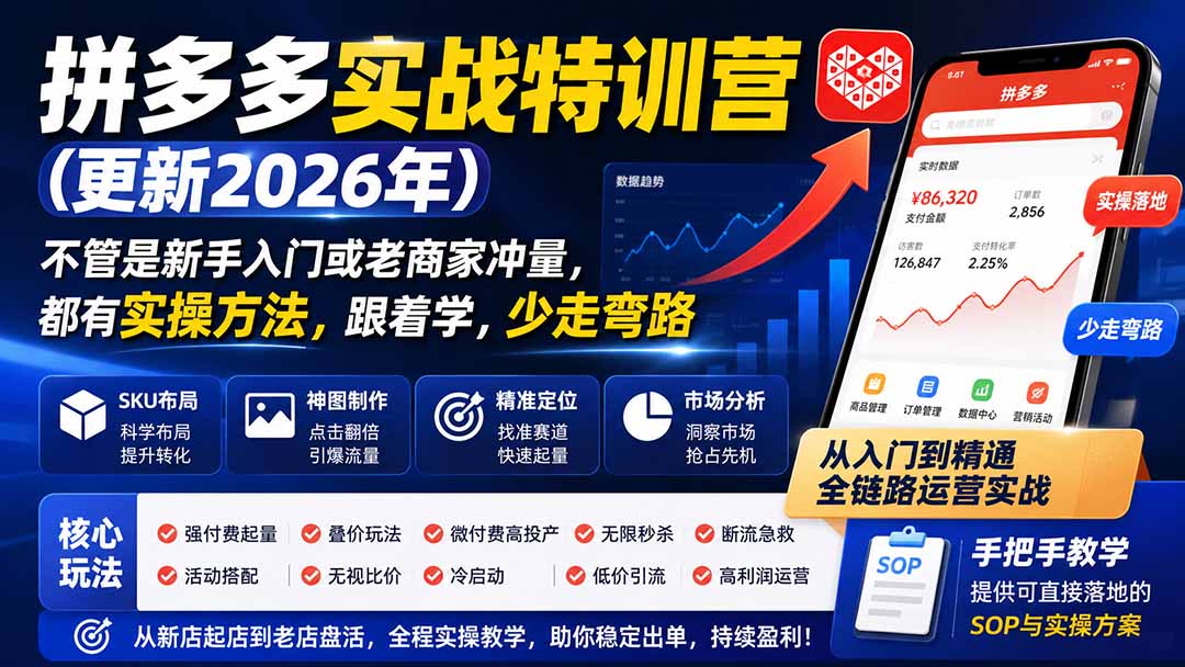 拼多多实战特训营(更新0926-站长V课