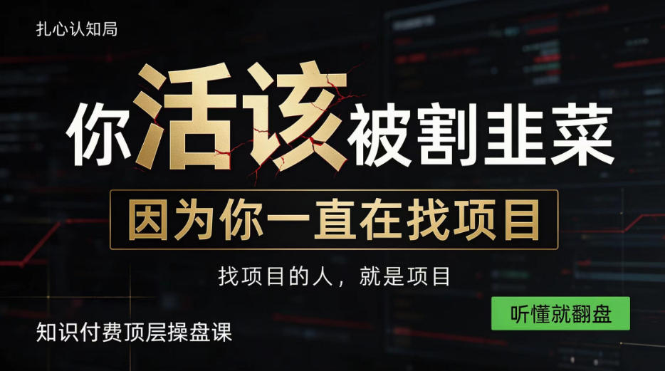 做项目不如卖项目，做知识付费自己当老板，知识付费顶层操盘课，听懂就翻盘【揭秘】-站长V课
