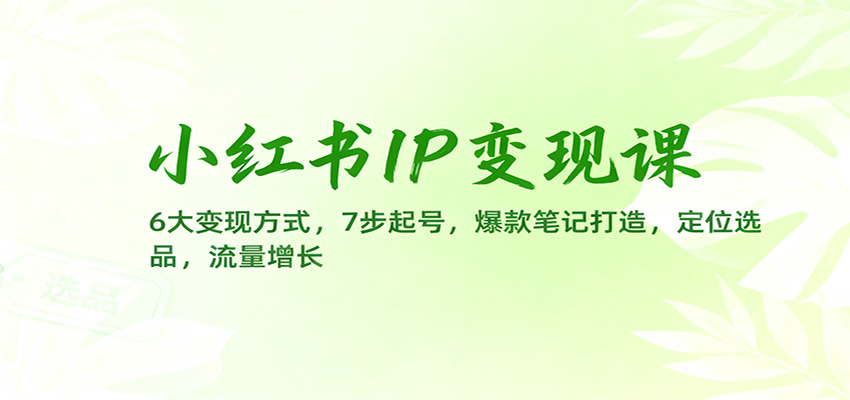小红书IP变现课:6大变现方式,7步起号,爆款笔记打造,定位选品,流量增长-站长V课