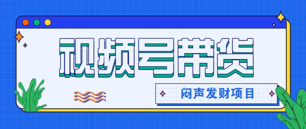 微信视频号带货项目,轻松日赚赚2000+,这个挣钱入口很多伙伴都在闷声发财-站长V课