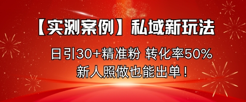 【实测案例】私域新玩法，日引30+精准粉，转化率50%，新人照做也能出单！-站长V课