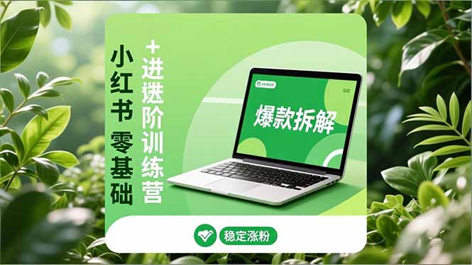 小红书零基础+高阶训练营：安全养号、爆款拆解、长效运营，实现稳定涨粉与变现-站长V课