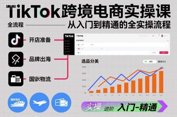 TikTok跨境电商实操课,从入门到精通的全实操流程-站长V课