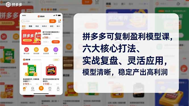 拼多多可复制盈利模型课,六大核心打法、实战复盘、灵活应用,模型清晰,稳定产出高利润-站长V课